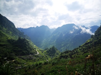 A scenic view of the misty mountains and lush greenery of Sikkim, showcasing a winding road perfect for a road trip.