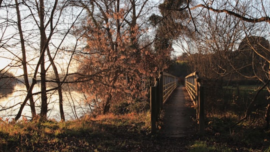 photo of Gironde Nature reserve near Le miroir d'eau