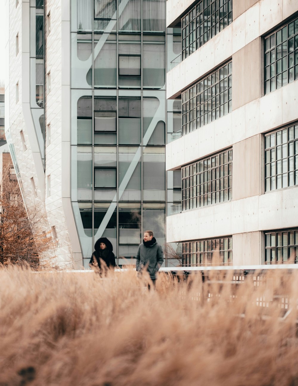 white concrete building