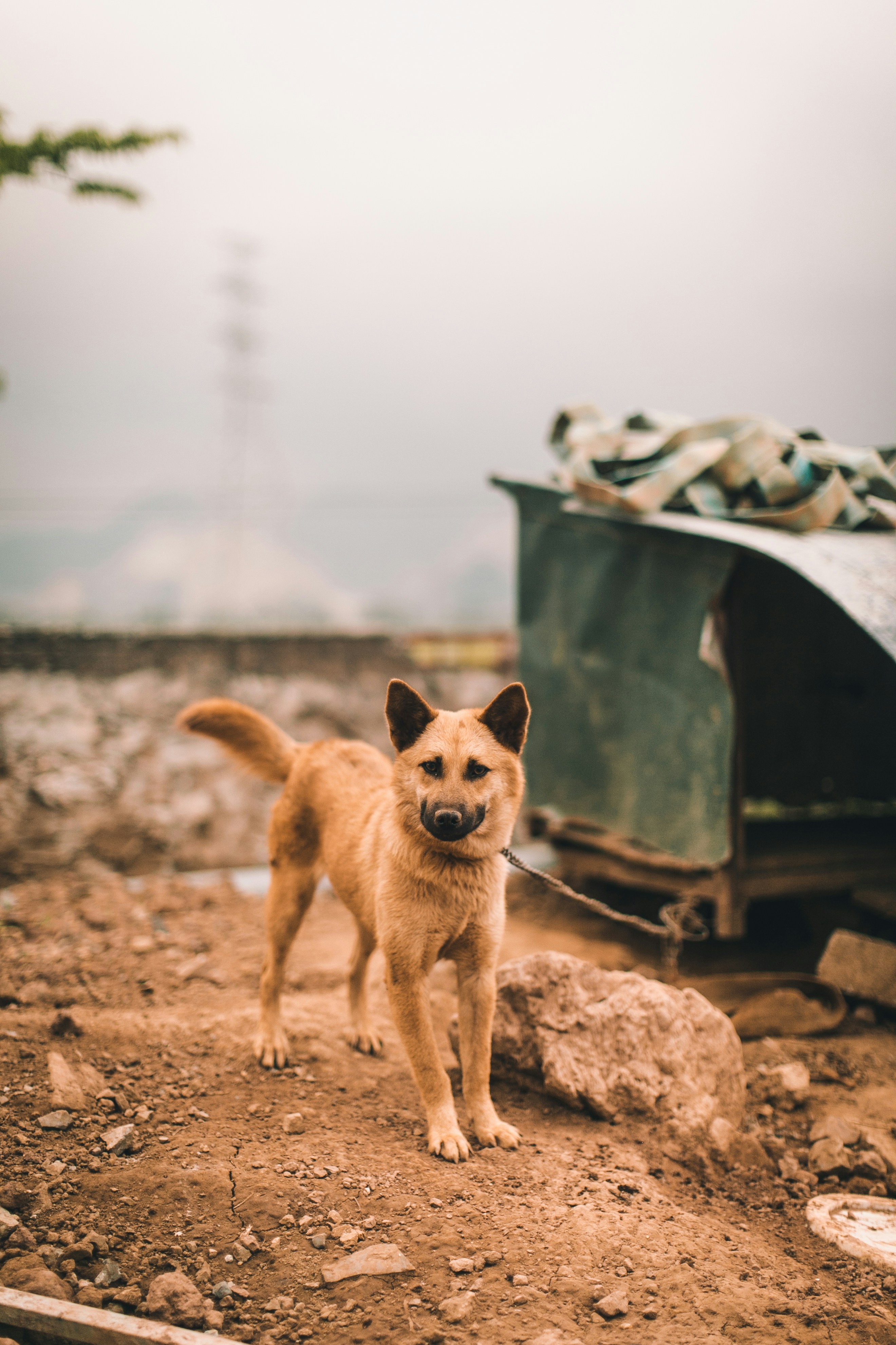 Photo by jakenackos