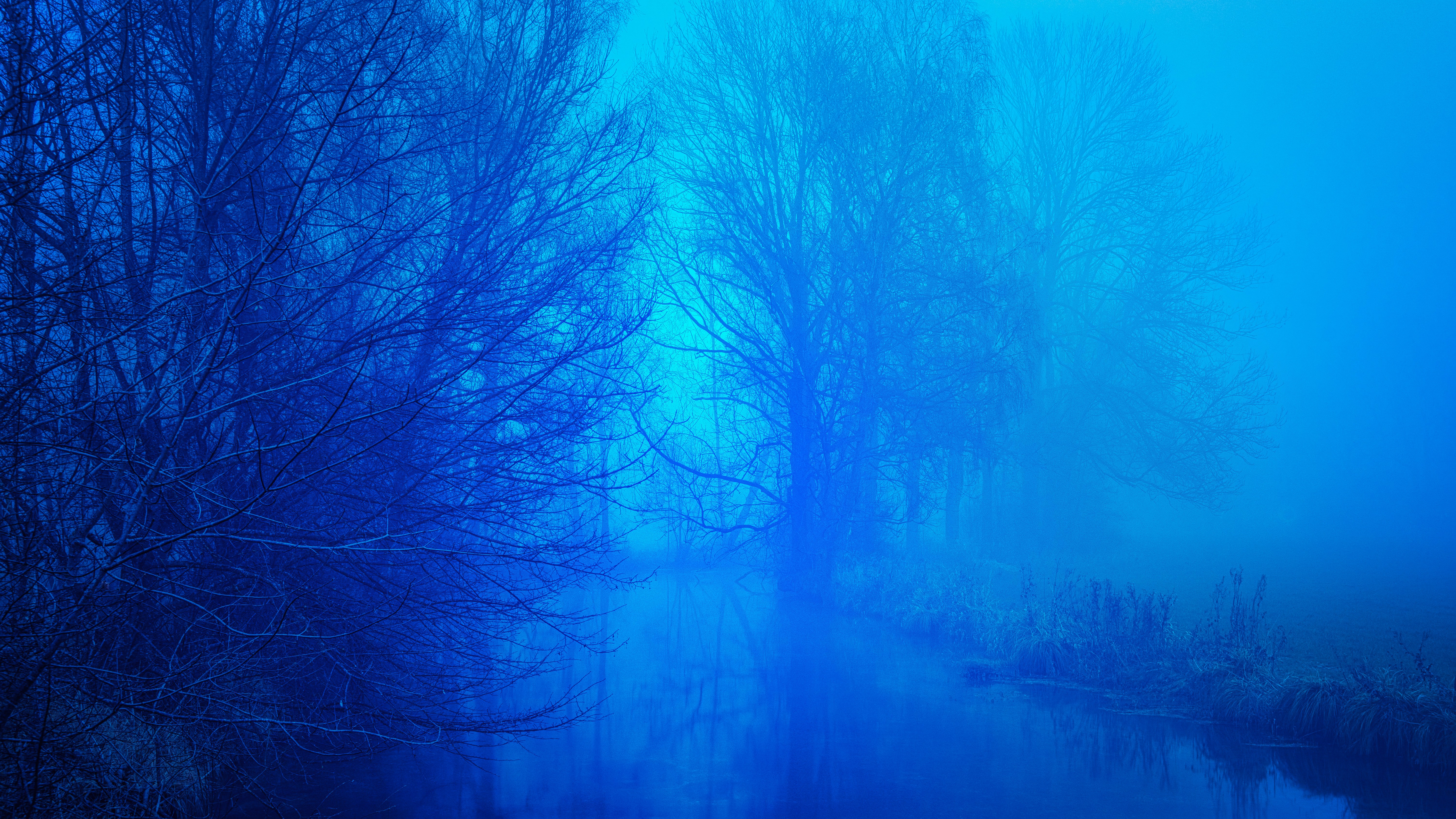 Blue Fog Pictures Download Free Images on Unsplash