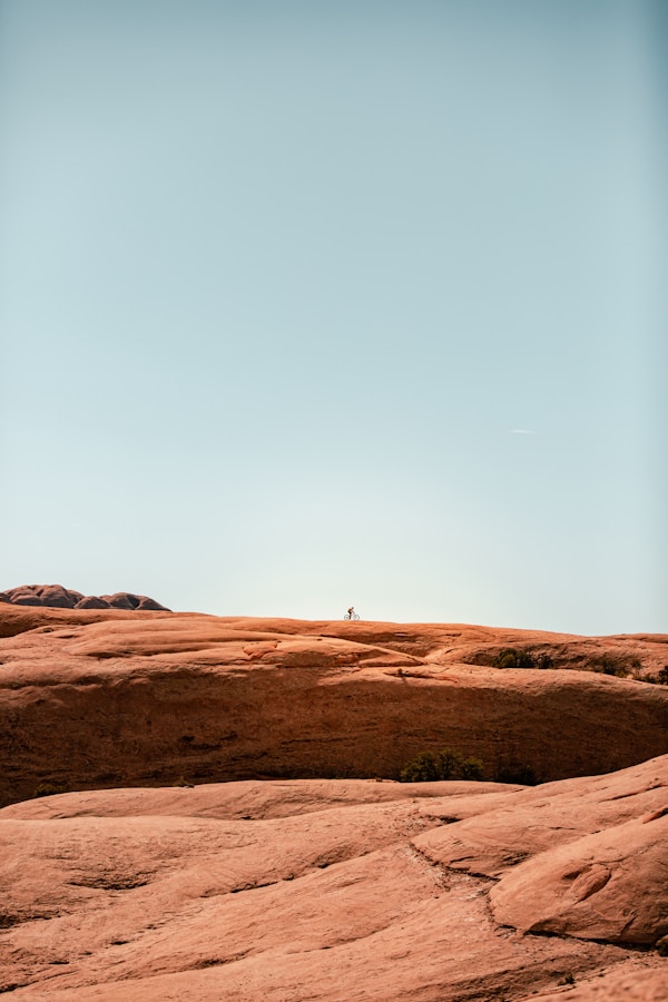 Exploring Moab's Authentic Cuisine: Dishes, Eateries & Recipes