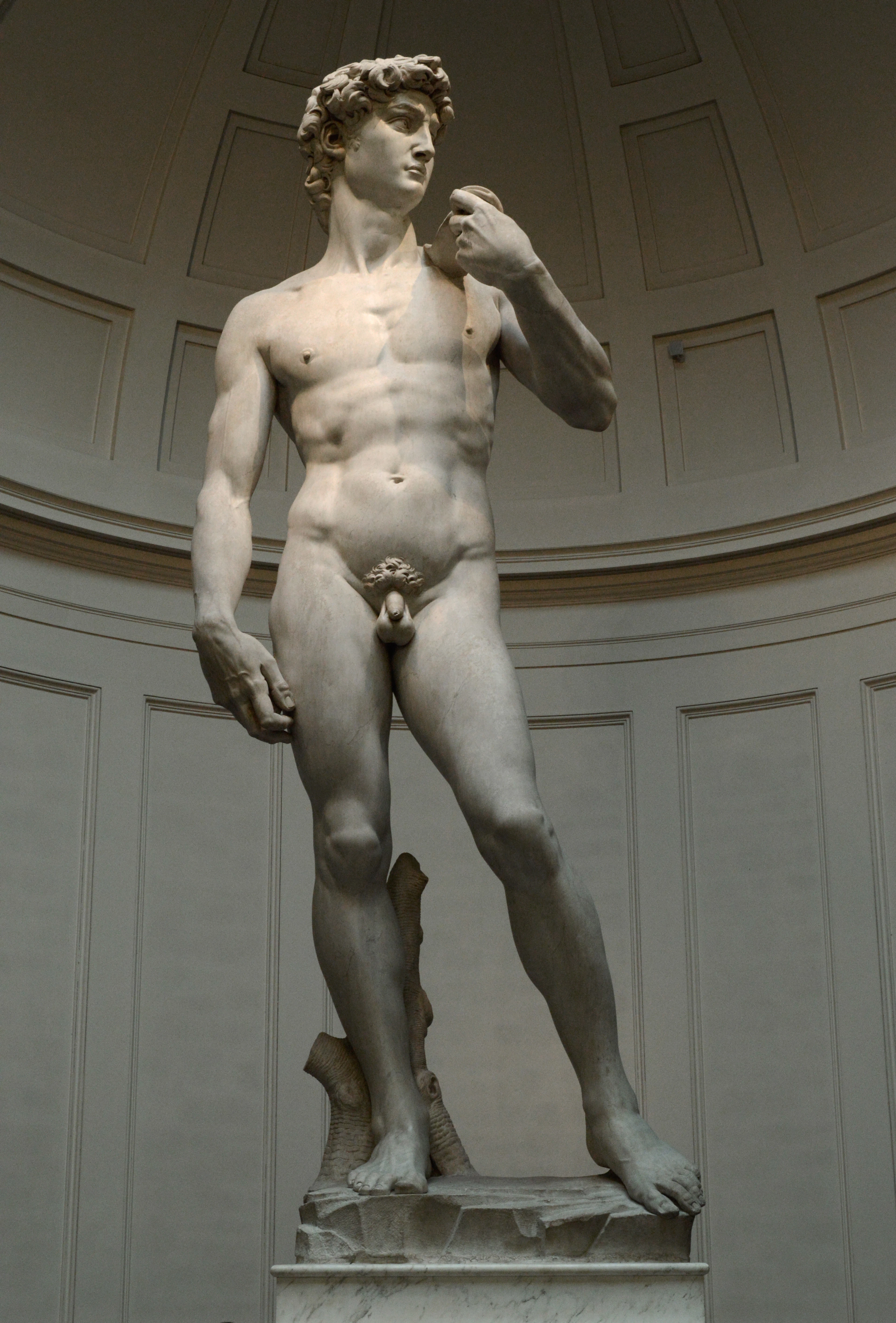 Michelangelo's David standing full-length under the domed skylit tribune of the Galleria dell'Accademia in Florence, the marble warm against the pale coffered apse behind him
