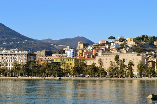 buildings near body of water in Cinque Terre Italy