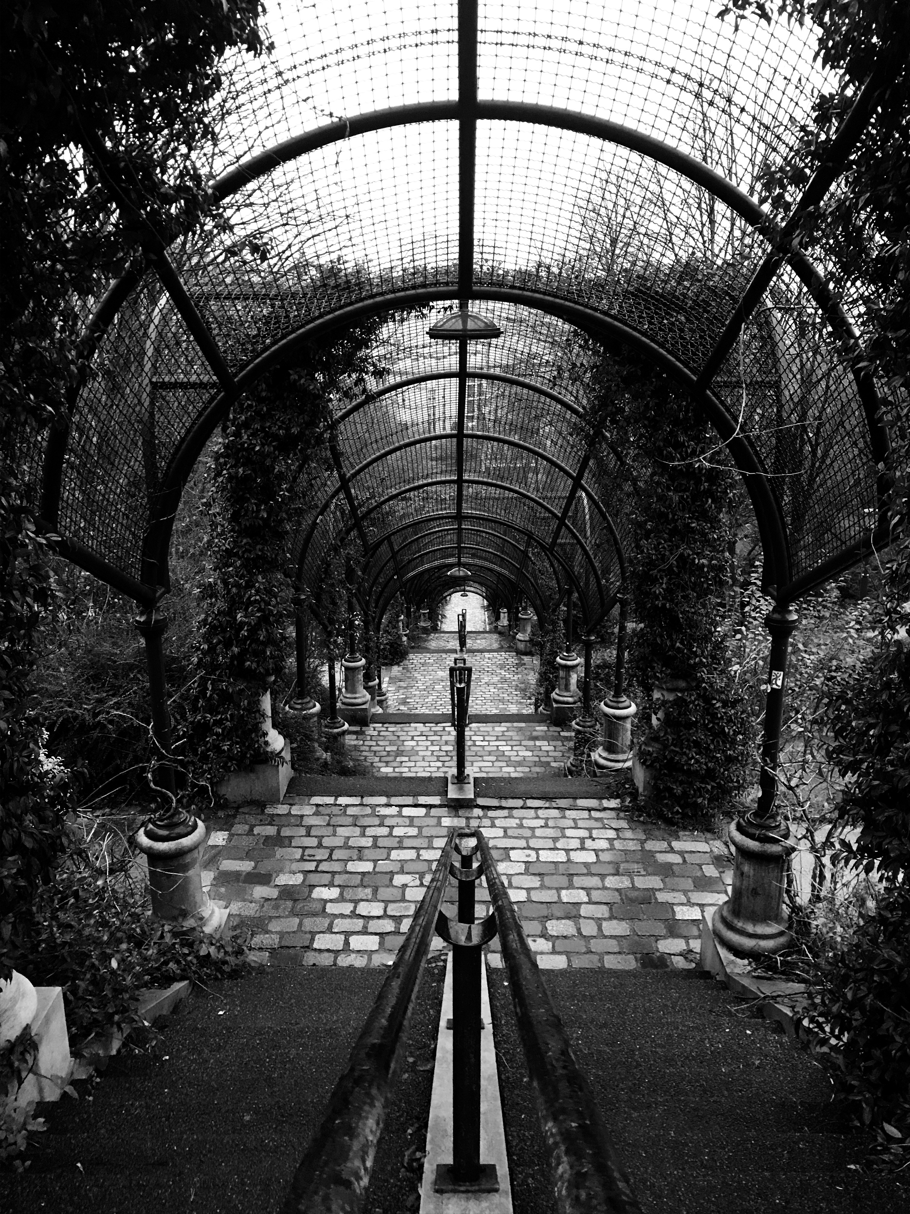 Photo by cassandrebyr