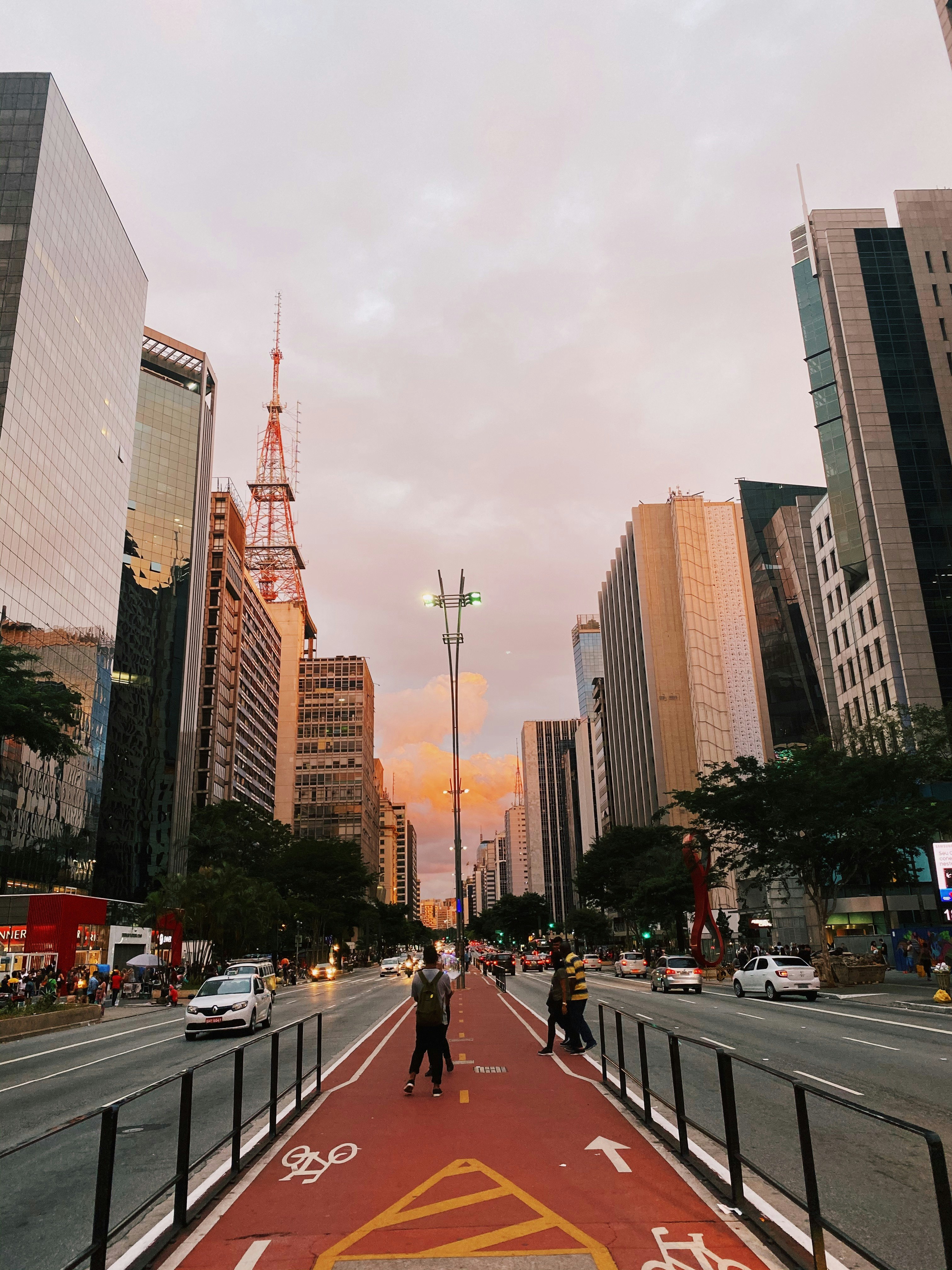 people walking on road