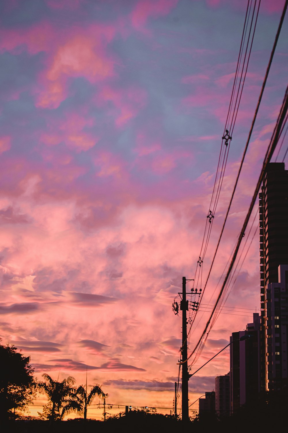 silhouette photography of electric post and buildings during dawn