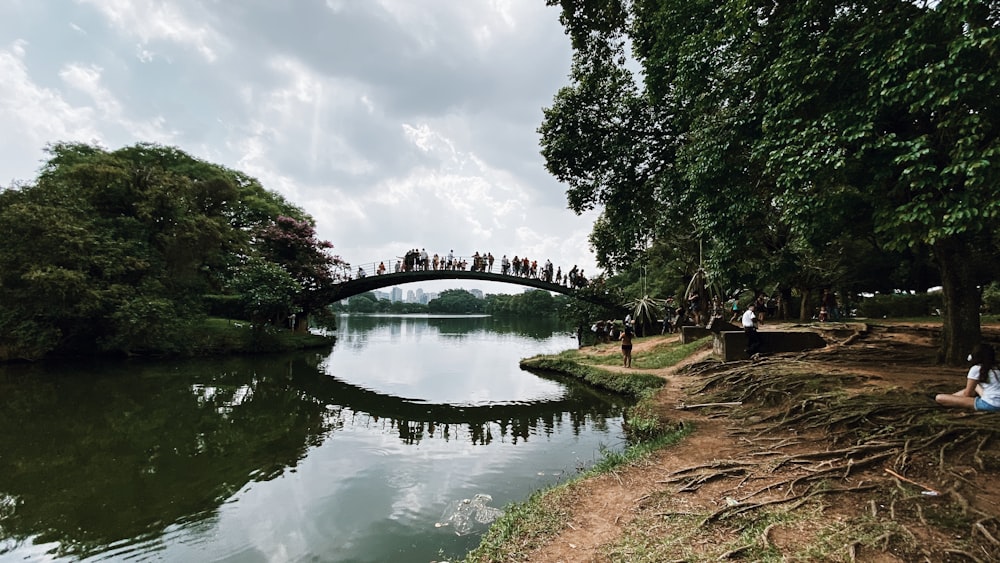 people standing on bridge near tress and lake during daytime