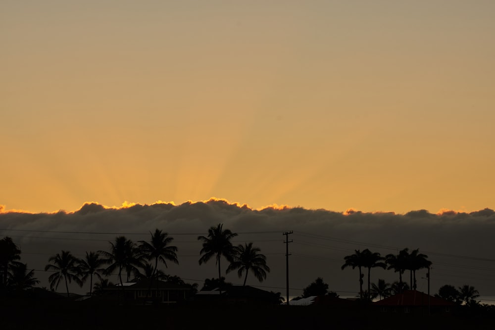 silhouette photography of trees and mountain during dawn