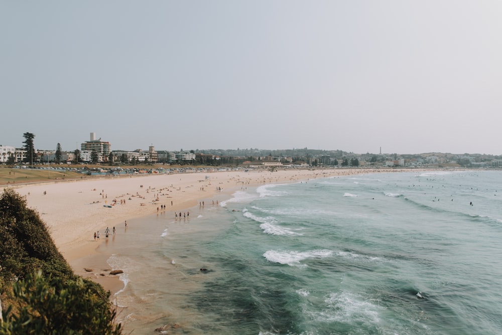 photography of people gathering beside seashore during daytime