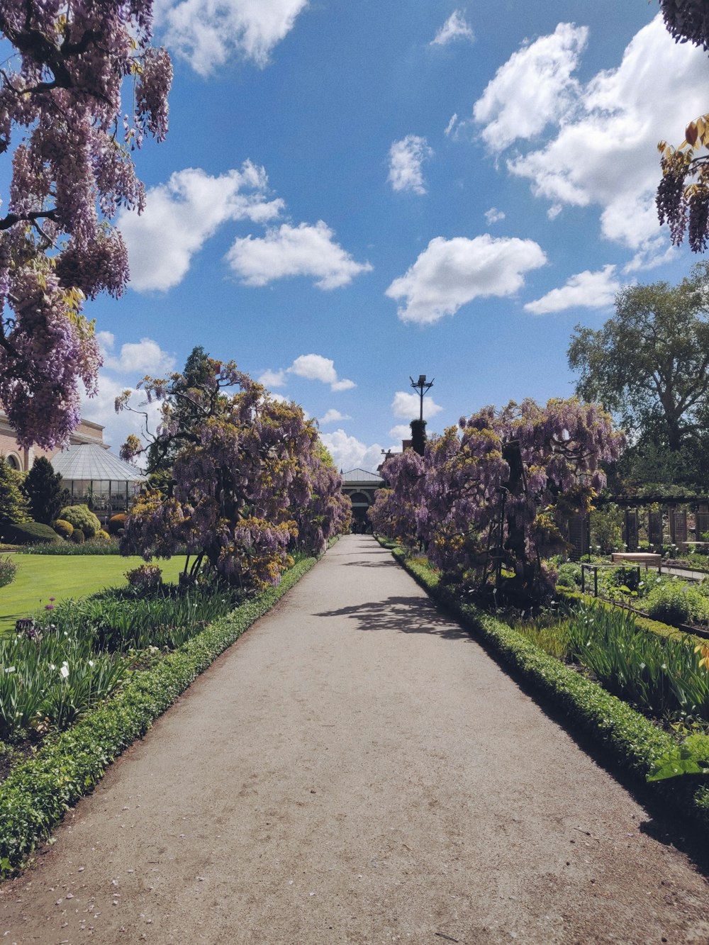 garden under cloudy sky