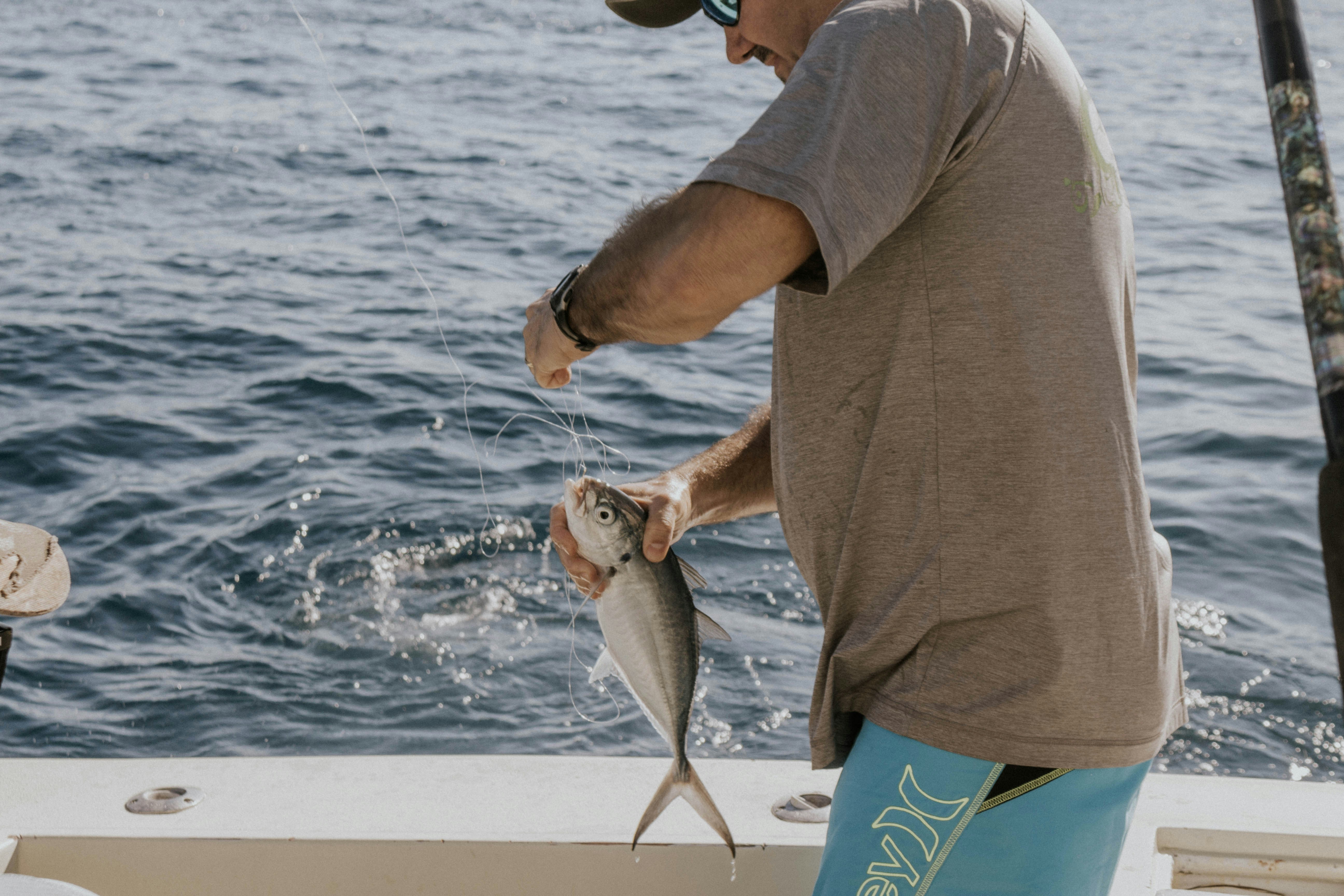 Freshly Stocked Trout Not Biting? Here’s What You Need To Know The