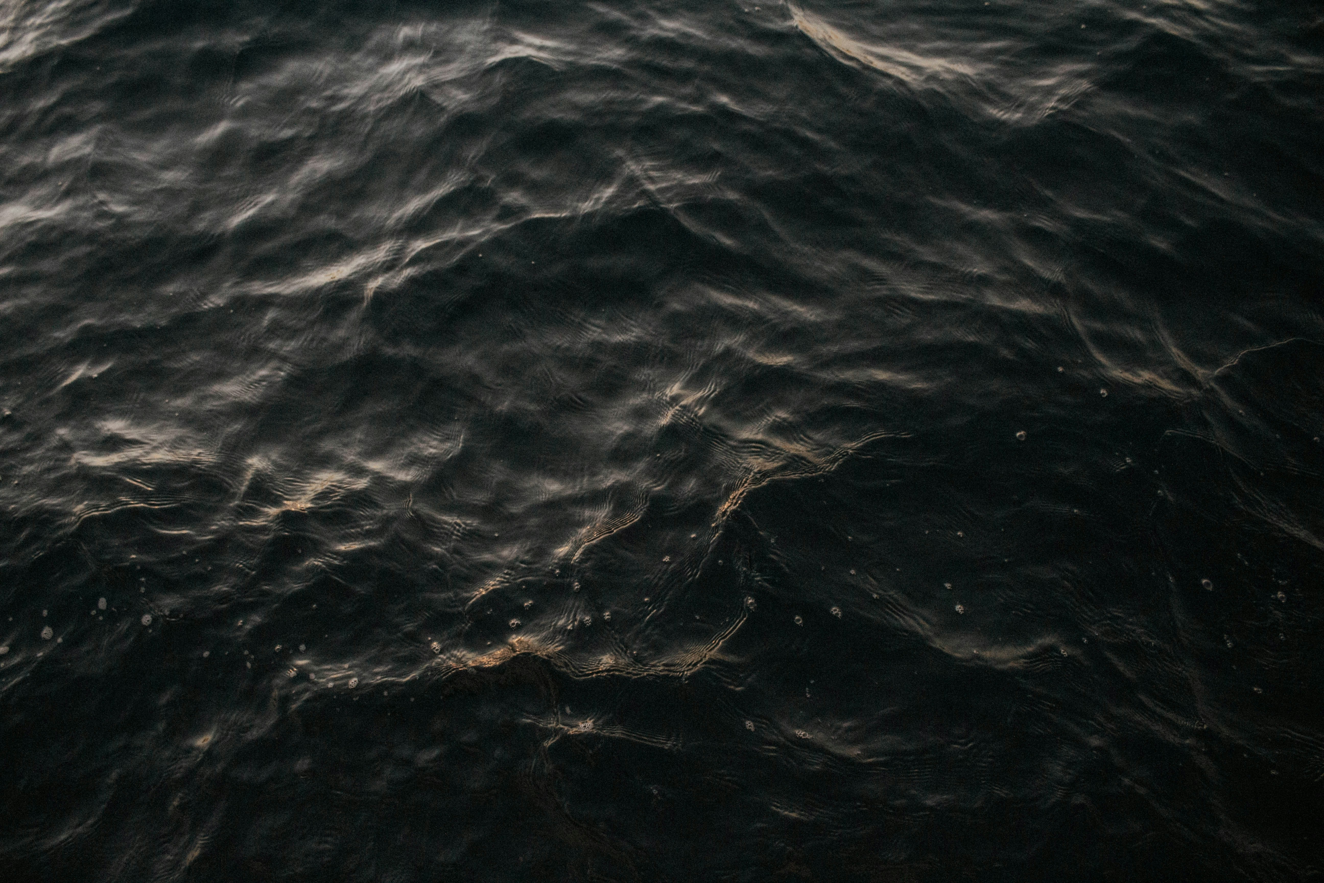 Photo by thewildflowerpress