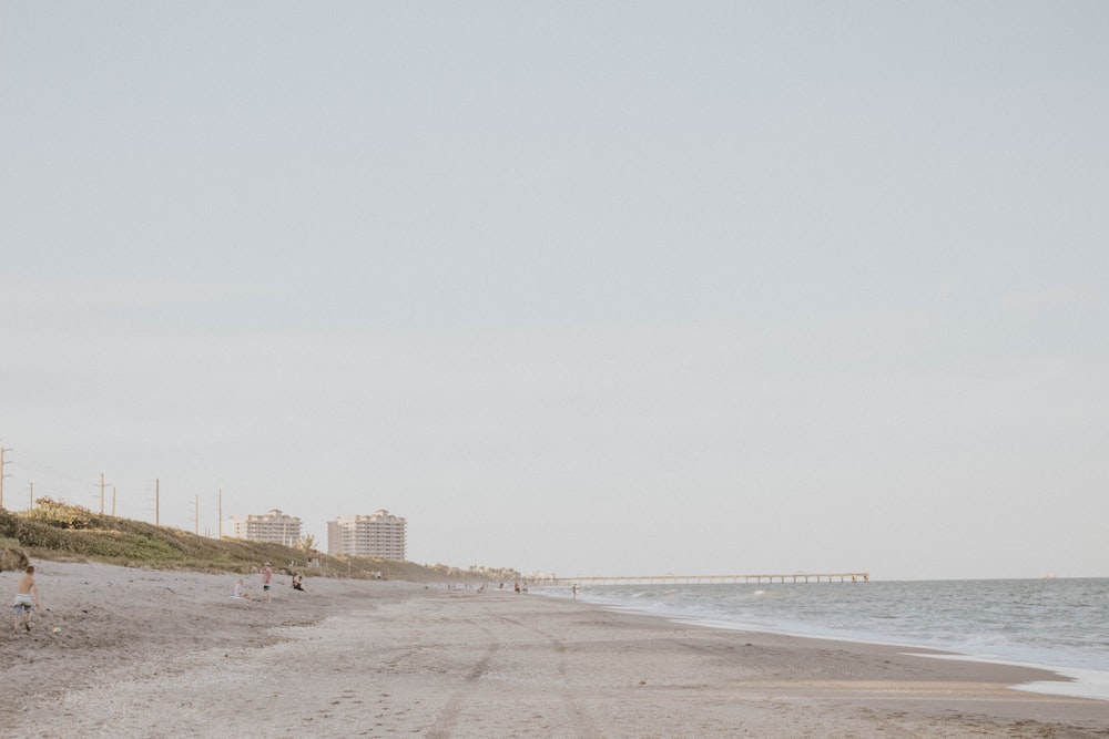 photography of seashore during daytime