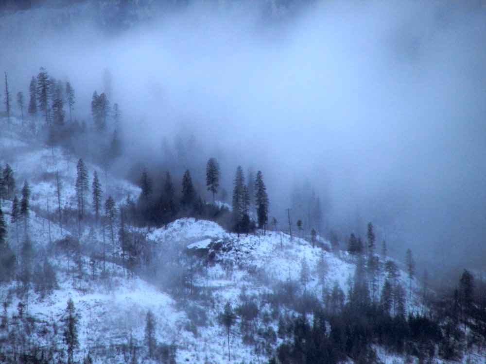 wide-angle photography of snow-capped mountain during daytime