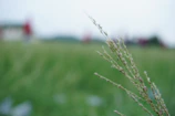 Outdoor landscape in stereophoto style emphasizing depth and clarity.