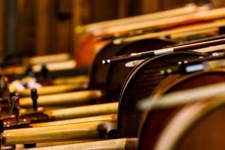 A close-up view of multiple violins arranged side by side, with their bows resting on top. The warm wooden tones create an artistic composition, emphasizing the craftsmanship of the instruments.