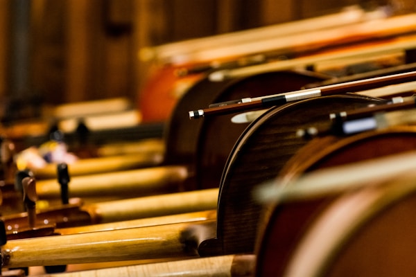A close-up view of multiple violins arranged side by side, with their bows resting on top. The warm wooden tones create an artistic composition, emphasizing the craftsmanship of the instruments.