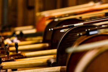 A close-up view of multiple violins arranged side by side, with their bows resting on top. The warm wooden tones create an artistic composition, emphasizing the craftsmanship of the instruments.