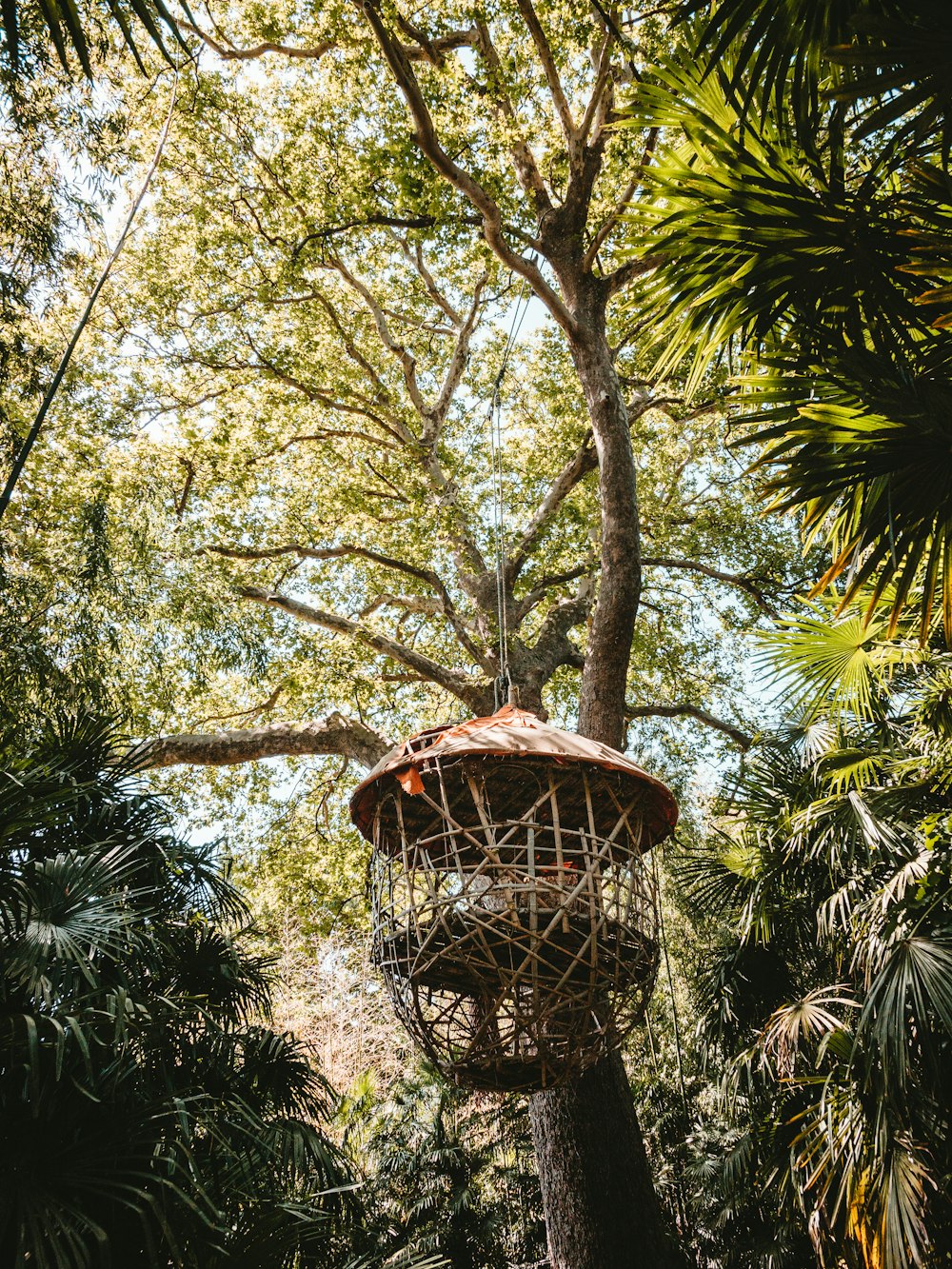 brown wooden tree house