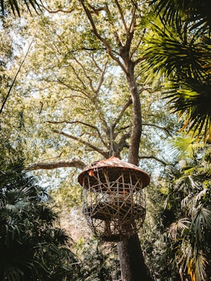 A large treehouse suspended among lush green foliage and surrounded by tropical plants. The structure is made of wood and has a round, cage-like appearance, hanging from a tall tree with a thick trunk. Sunlight filters through the canopy of leaves, creating a serene and secluded atmosphere.