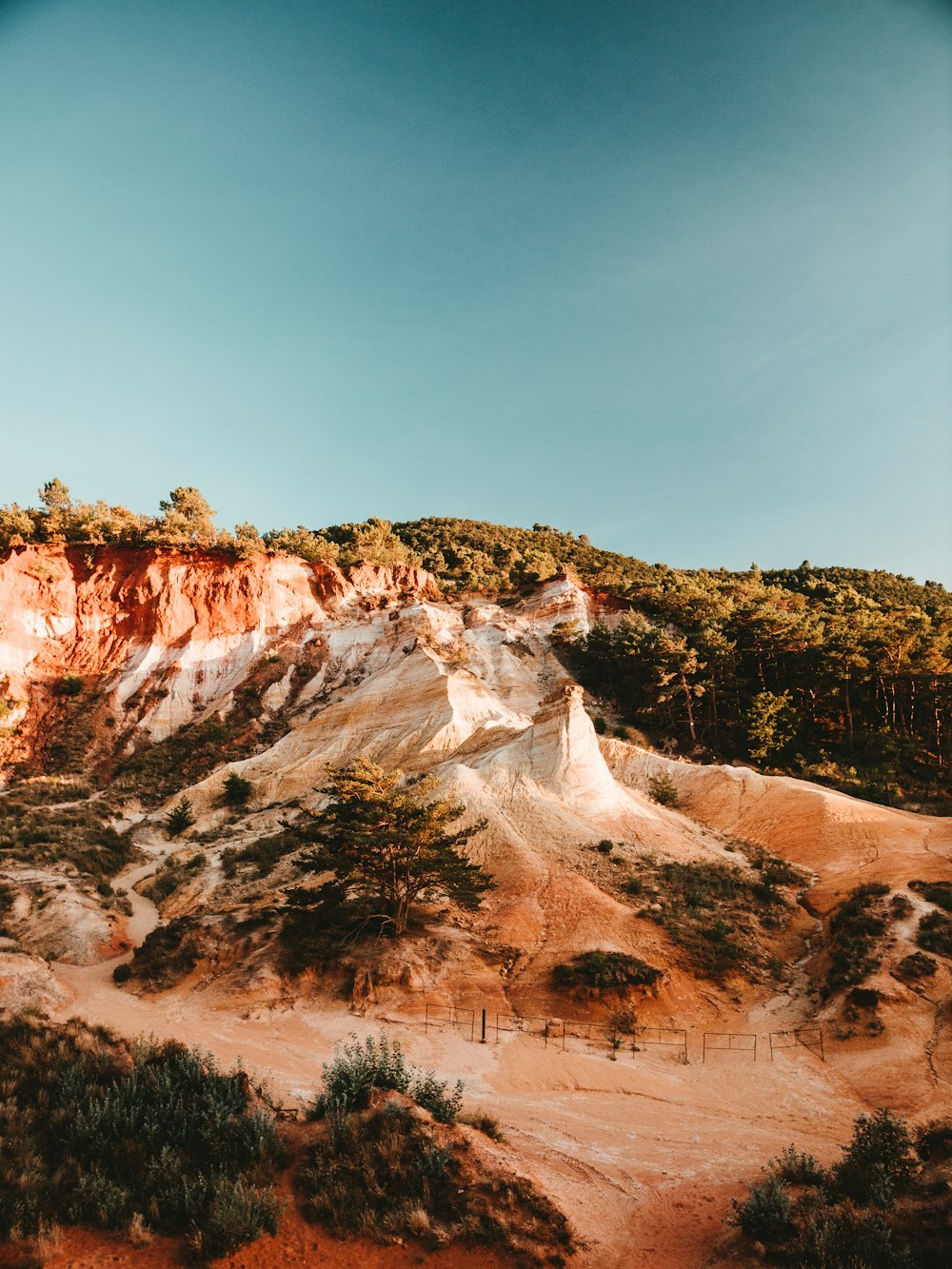 white and brown mountain with trees during daytime