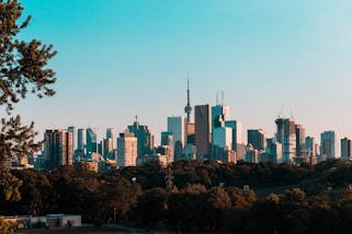 photography of high-rise buildings during daytime