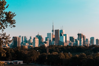 photography of high-rise buildings during daytime