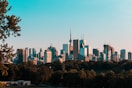 photography of high-rise buildings during daytime
