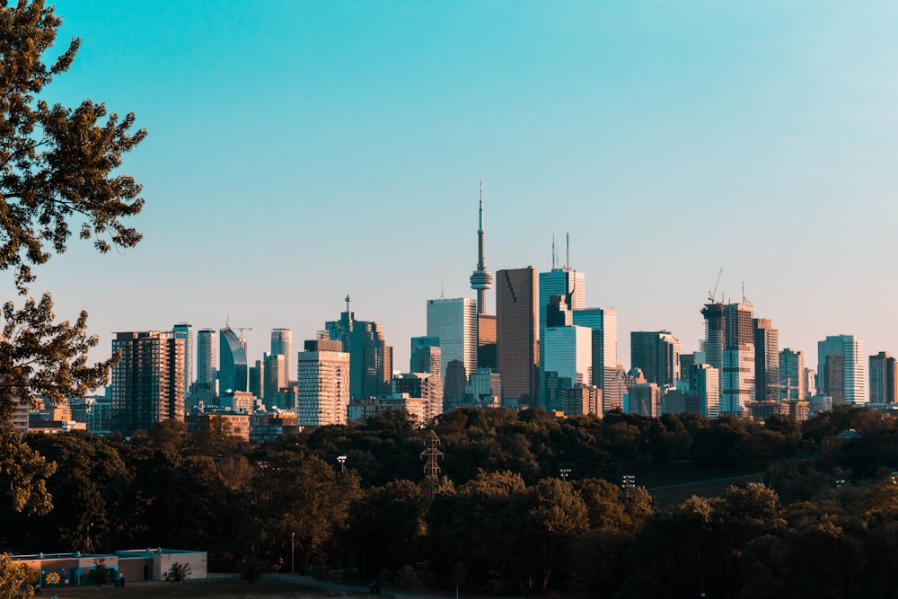 photography of high-rise buildings during daytime