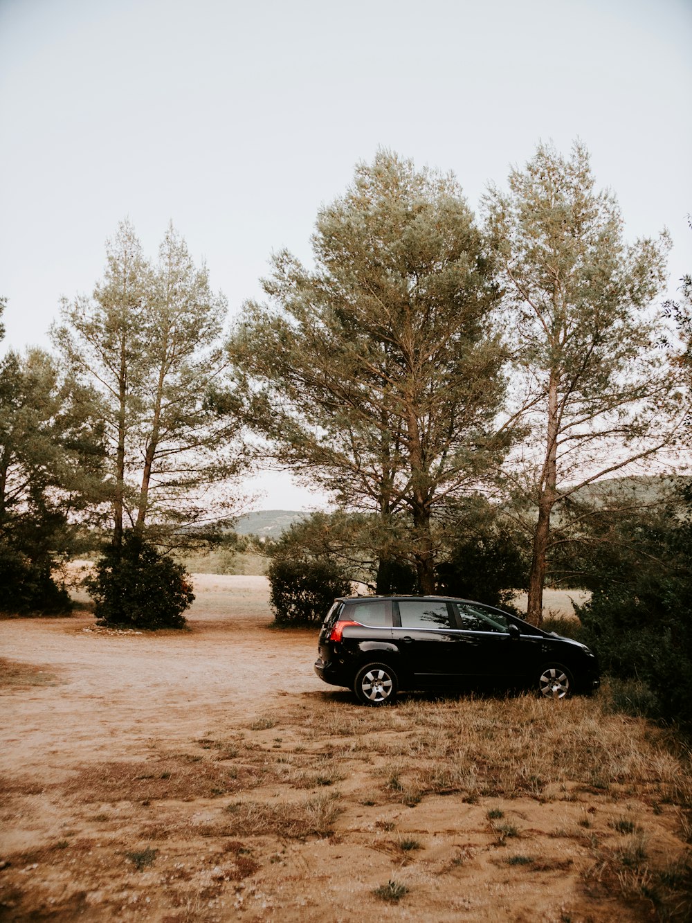 black SUV parked beside trees