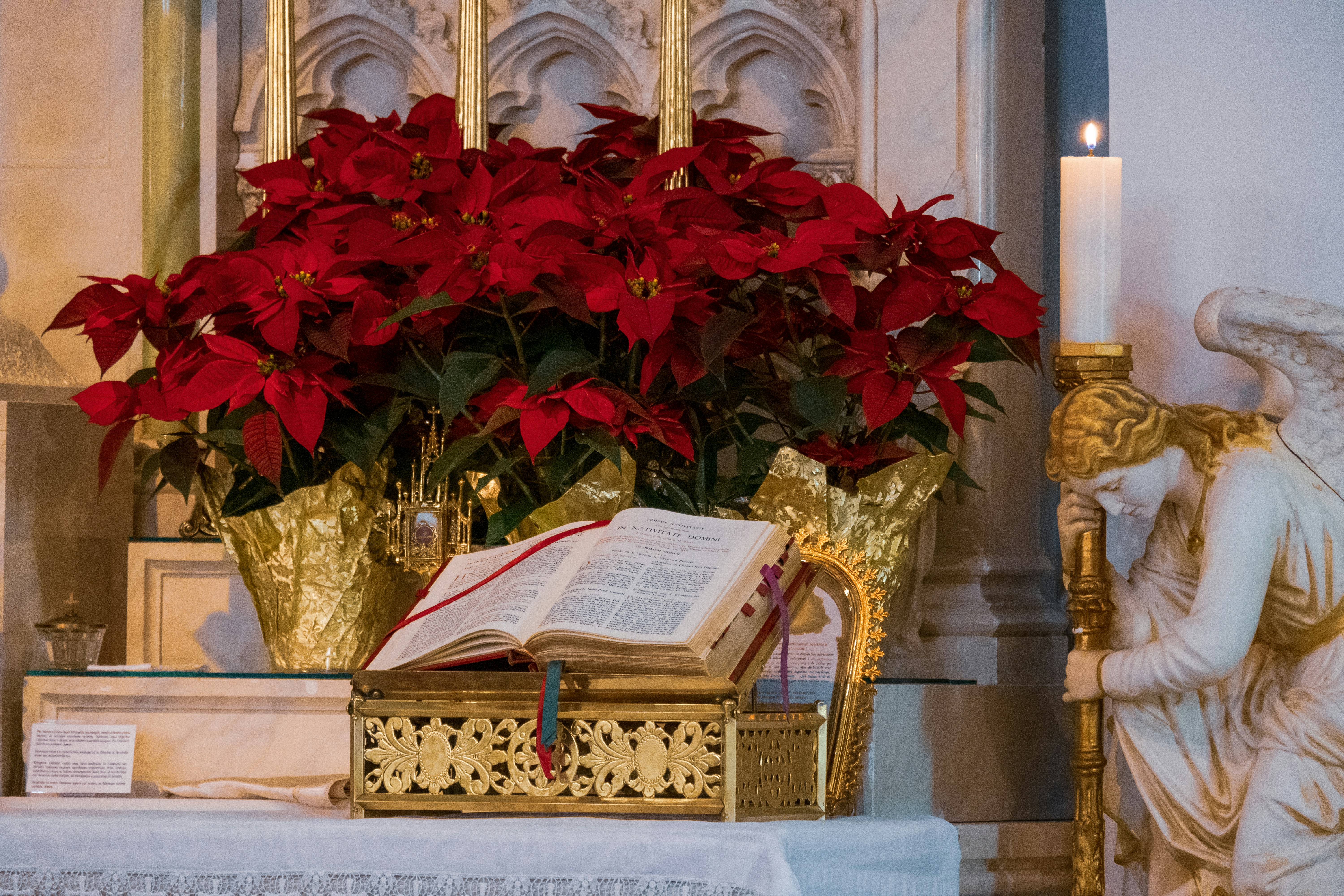 Heartfelt Christ the King Feast Wishes & Messages to Share