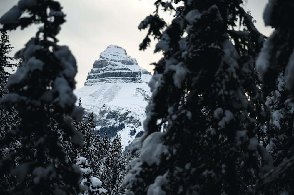 rock mountain covered with snow