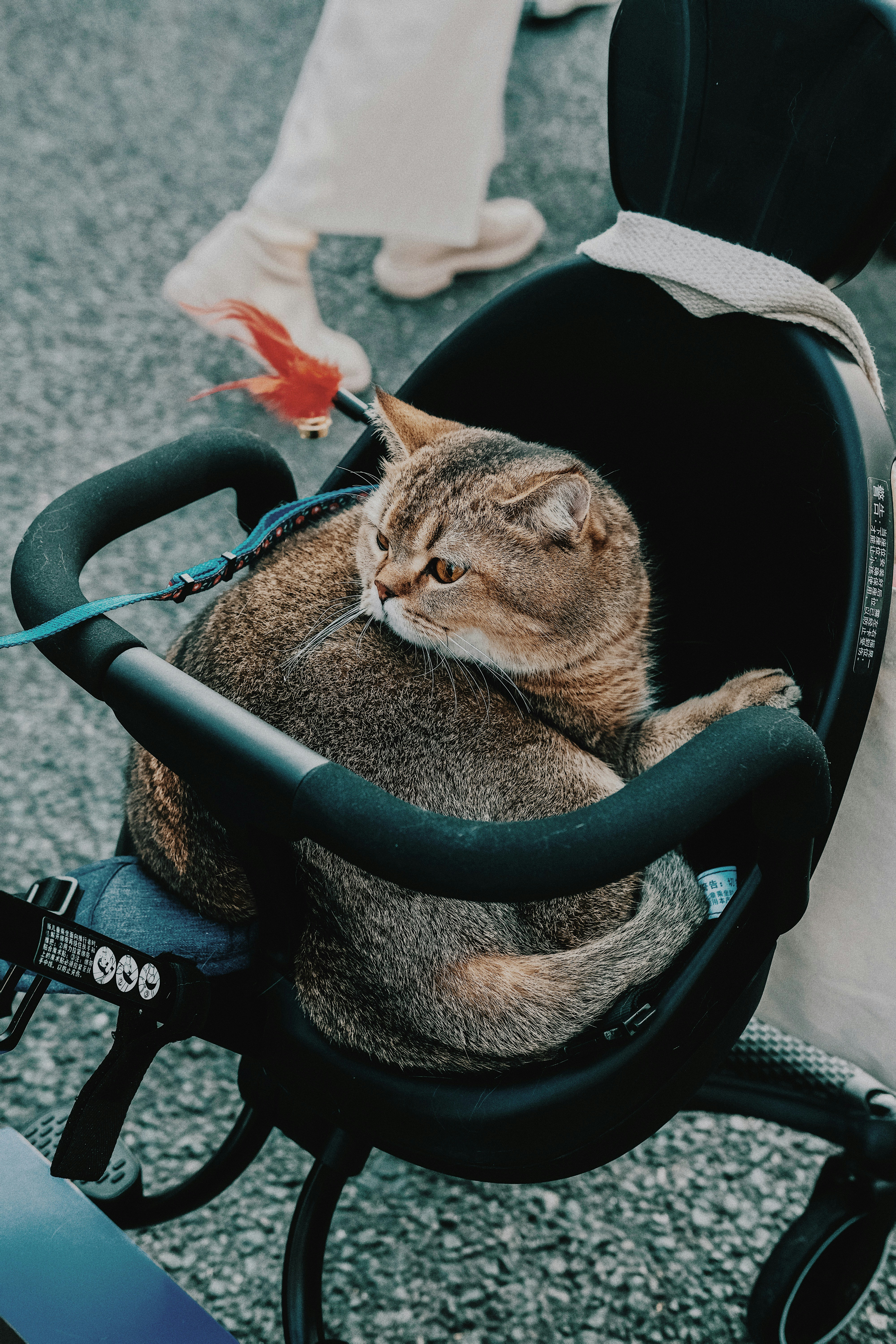 How Does Henkelion Stack Up? Comparing Popular Competitors