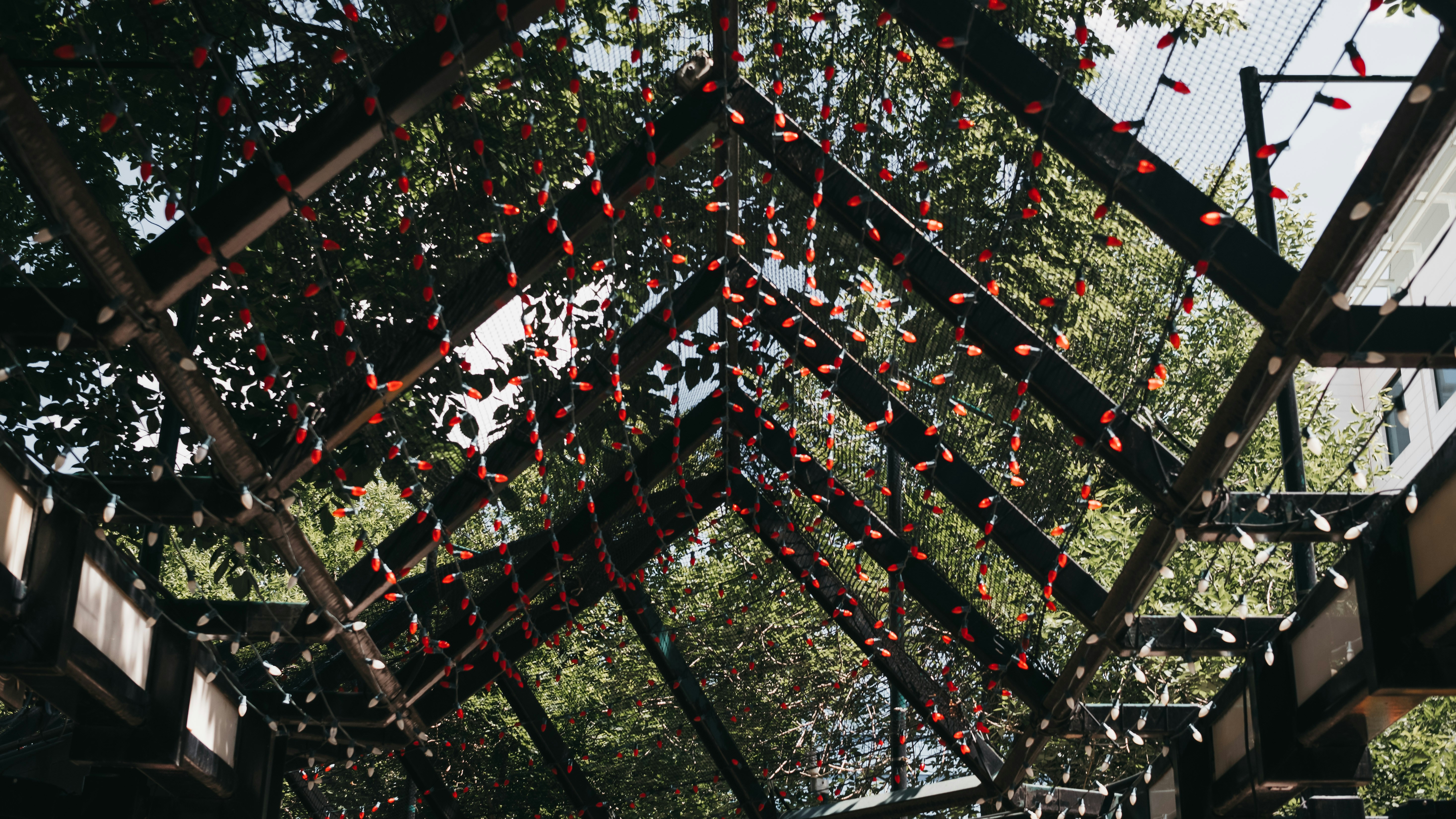 String lights in structure photo – Free Green Image on Unsplash