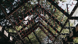 Modern LED strip lights outlining the edges of a sleek pergola under a starry night sky