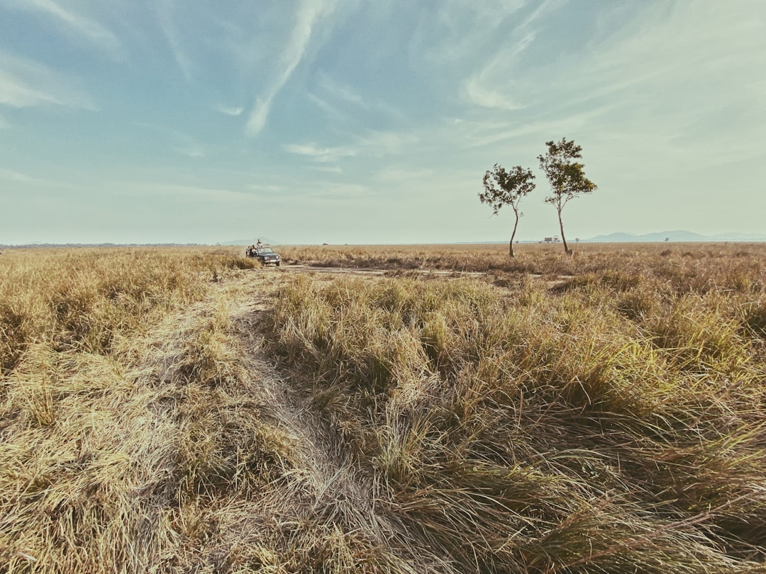 travelers stories about Plain in Pobitora Wildlife Sanctuary, India