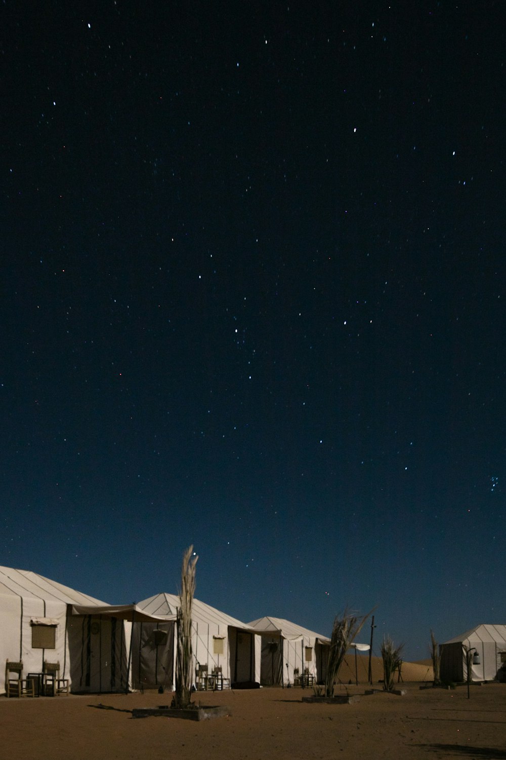 white tents at night