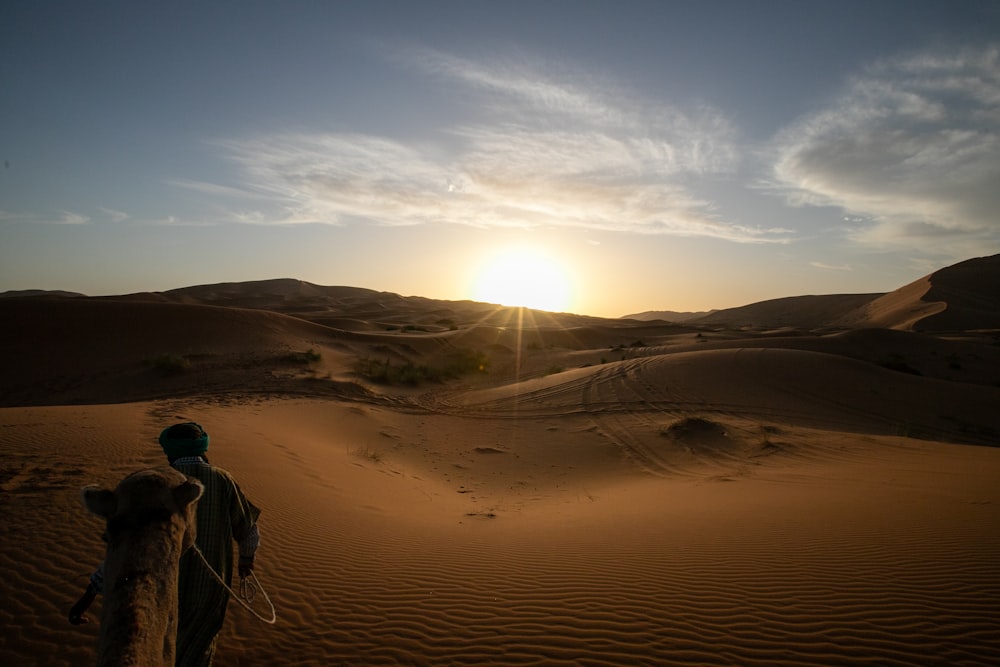 man walking on desert beside camel during daytime