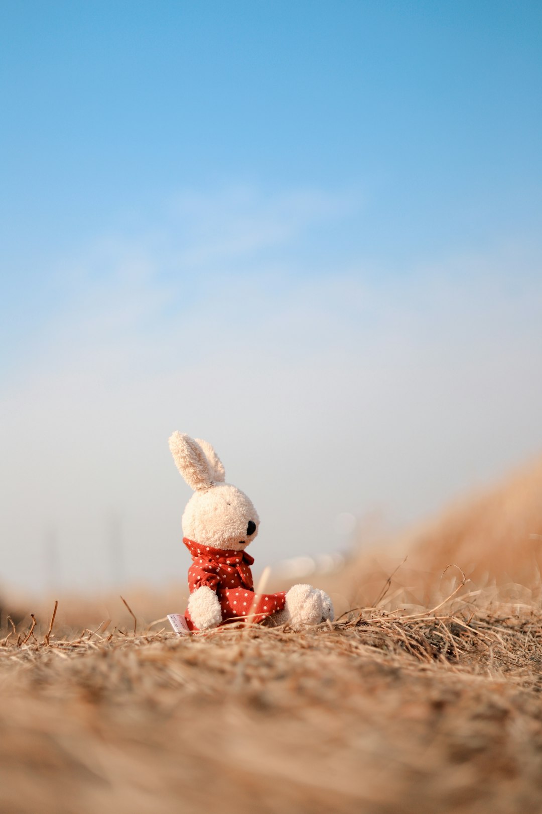 white rabbit plush toy