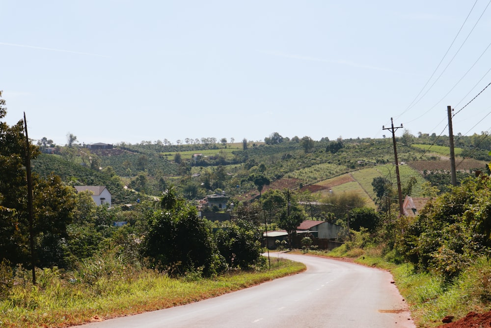 trees, houses, and road during day