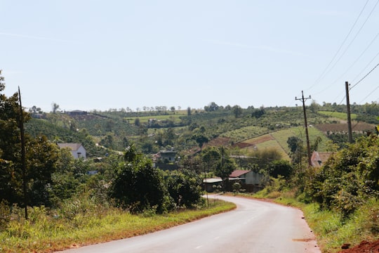 trees, houses, and road during day in Bảo Lộc Vietnam