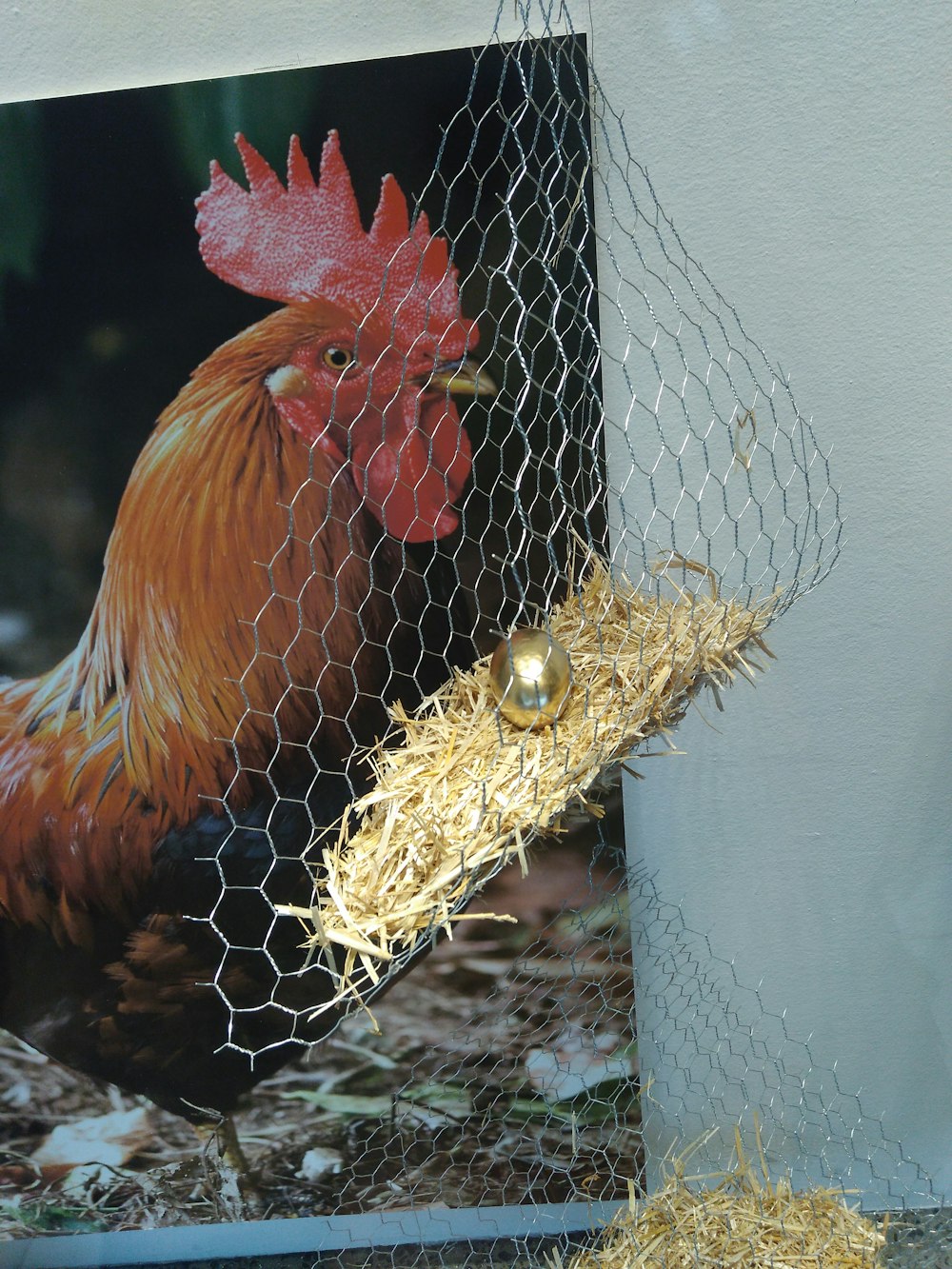 Gold Colored Egg Decor On Hanging Nest Home Decor Photo Free