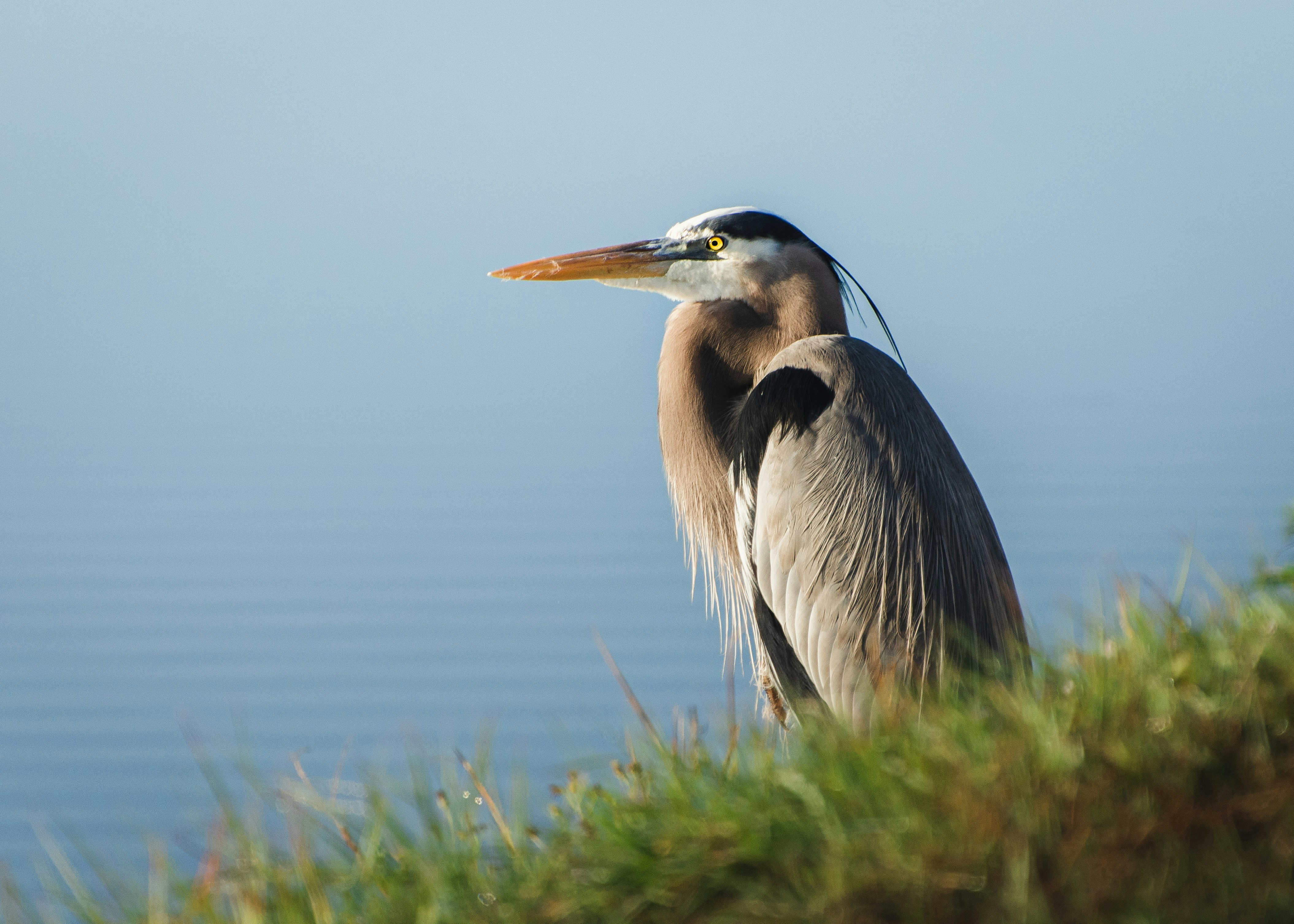 Photo by nicholsonimage