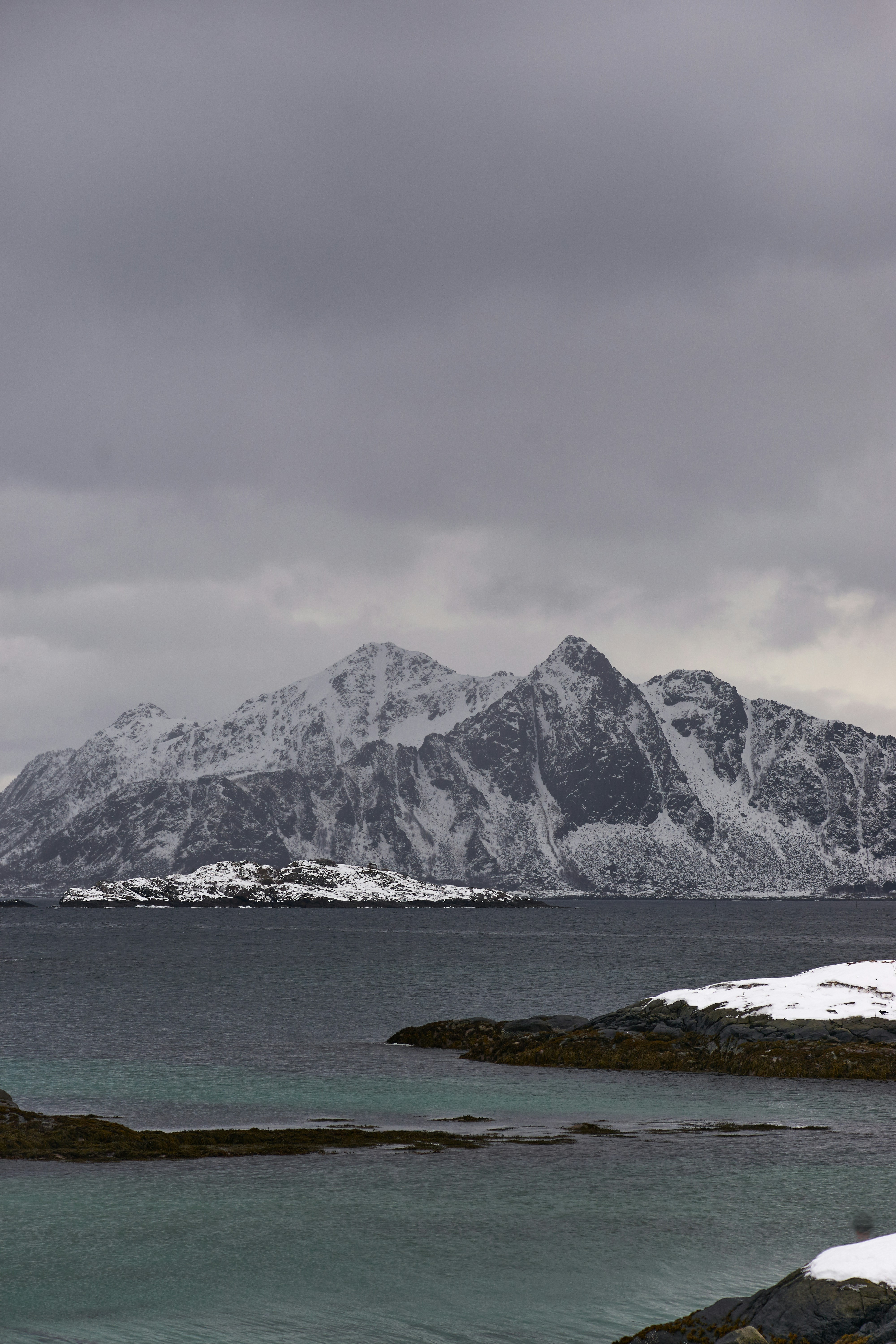 Photo by wolfgang_hasselmann