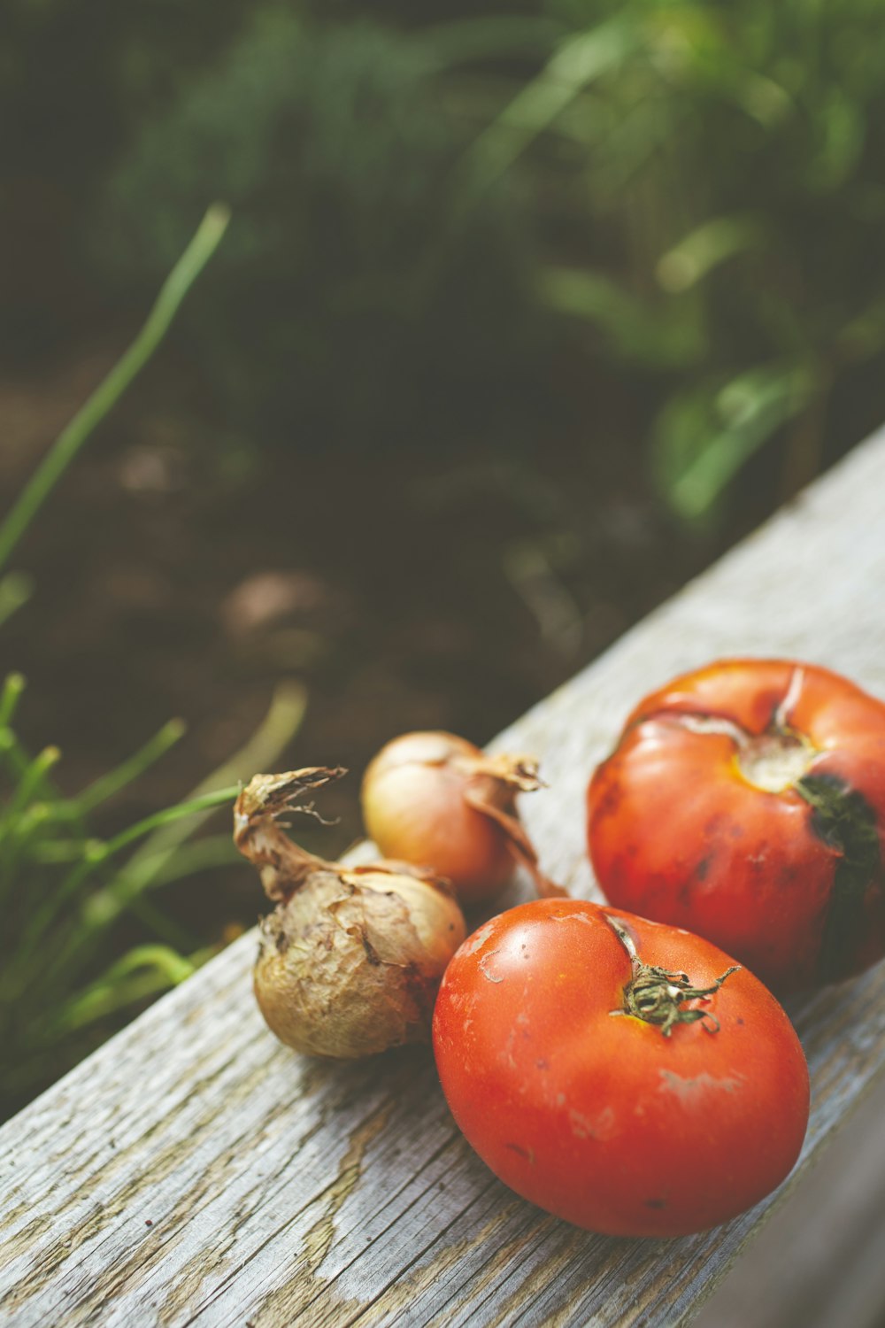 red tomatoes and onion on gray wooden panel