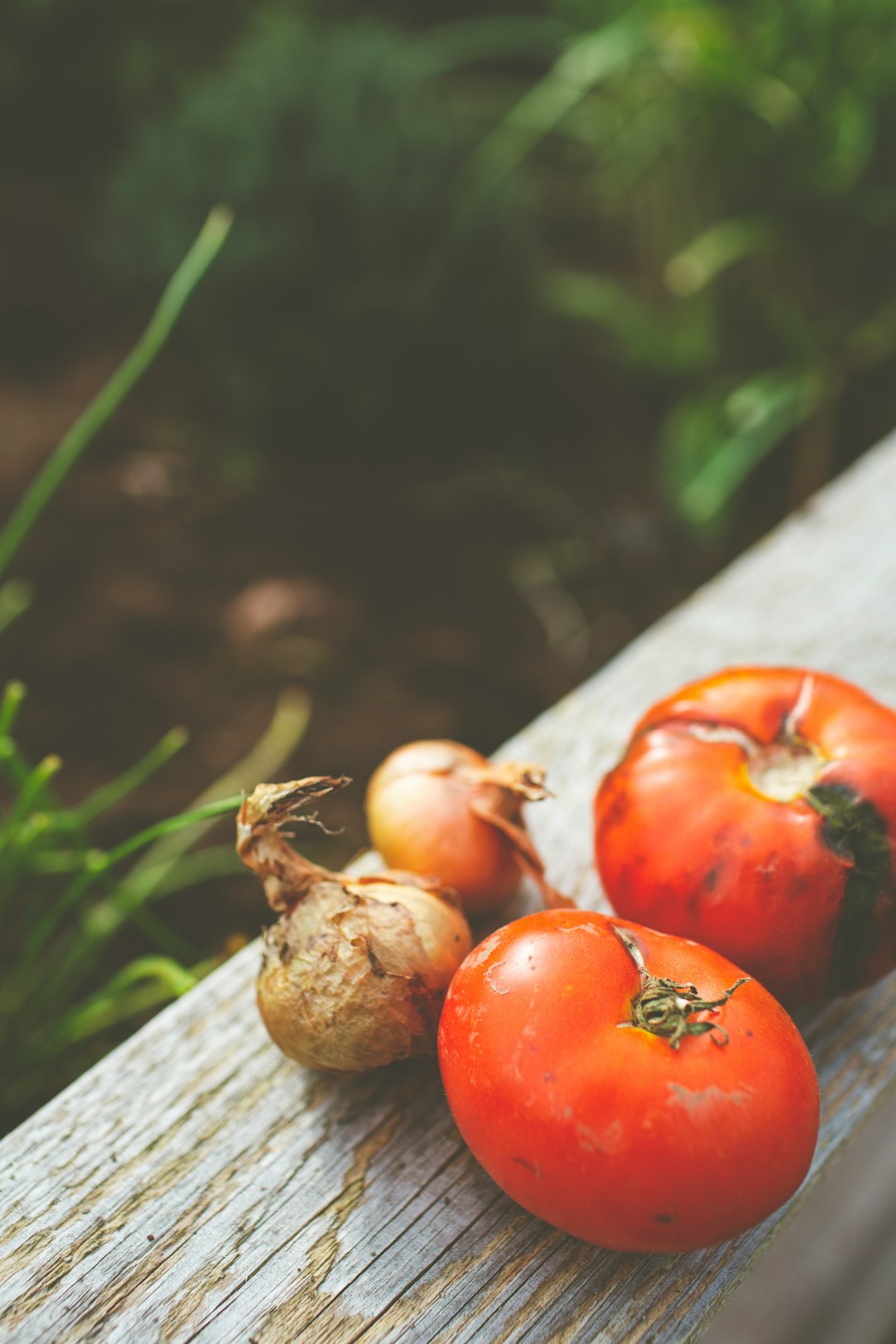 red tomatoes and onion on gray wooden panel