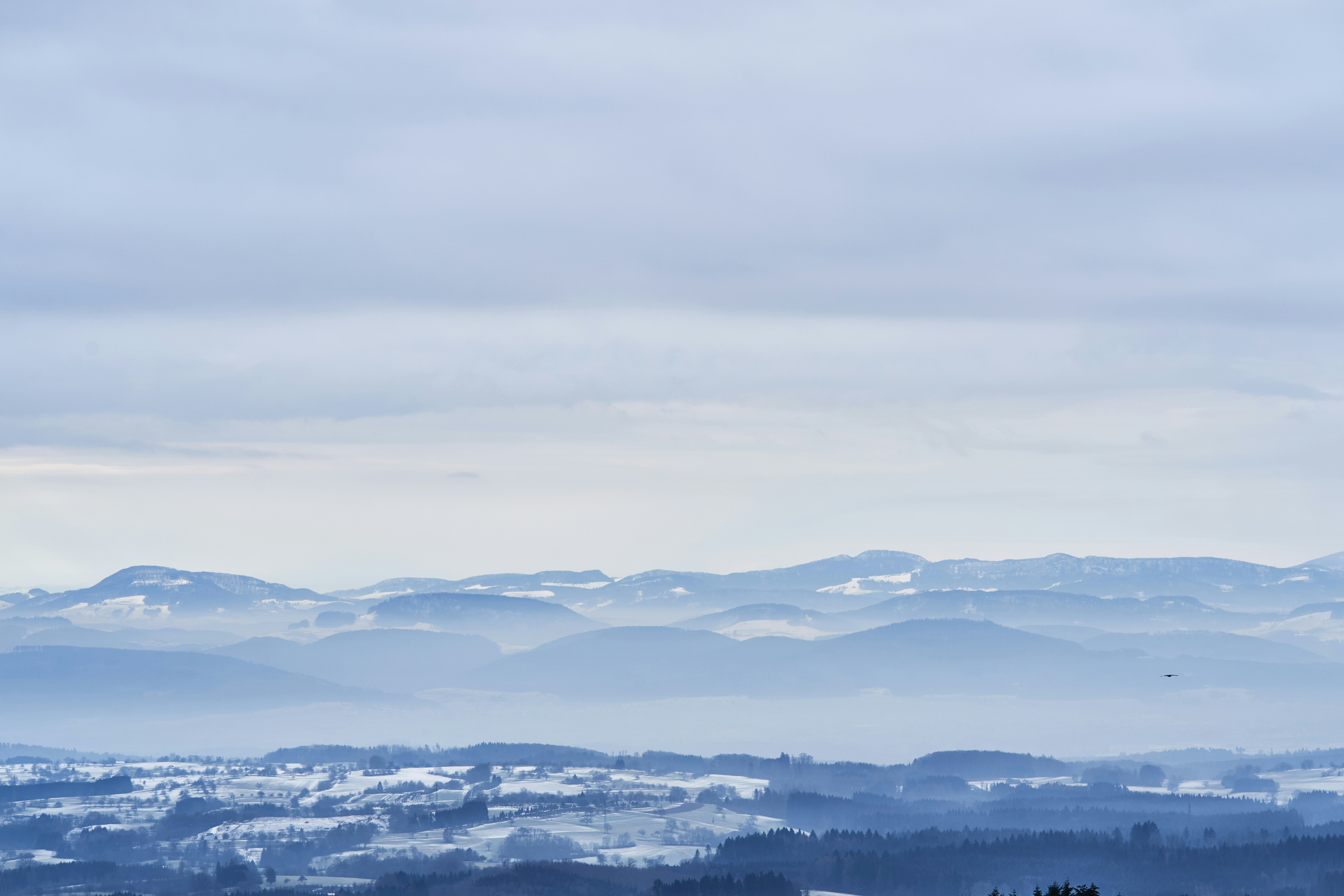 Photo by wolfgang_hasselmann