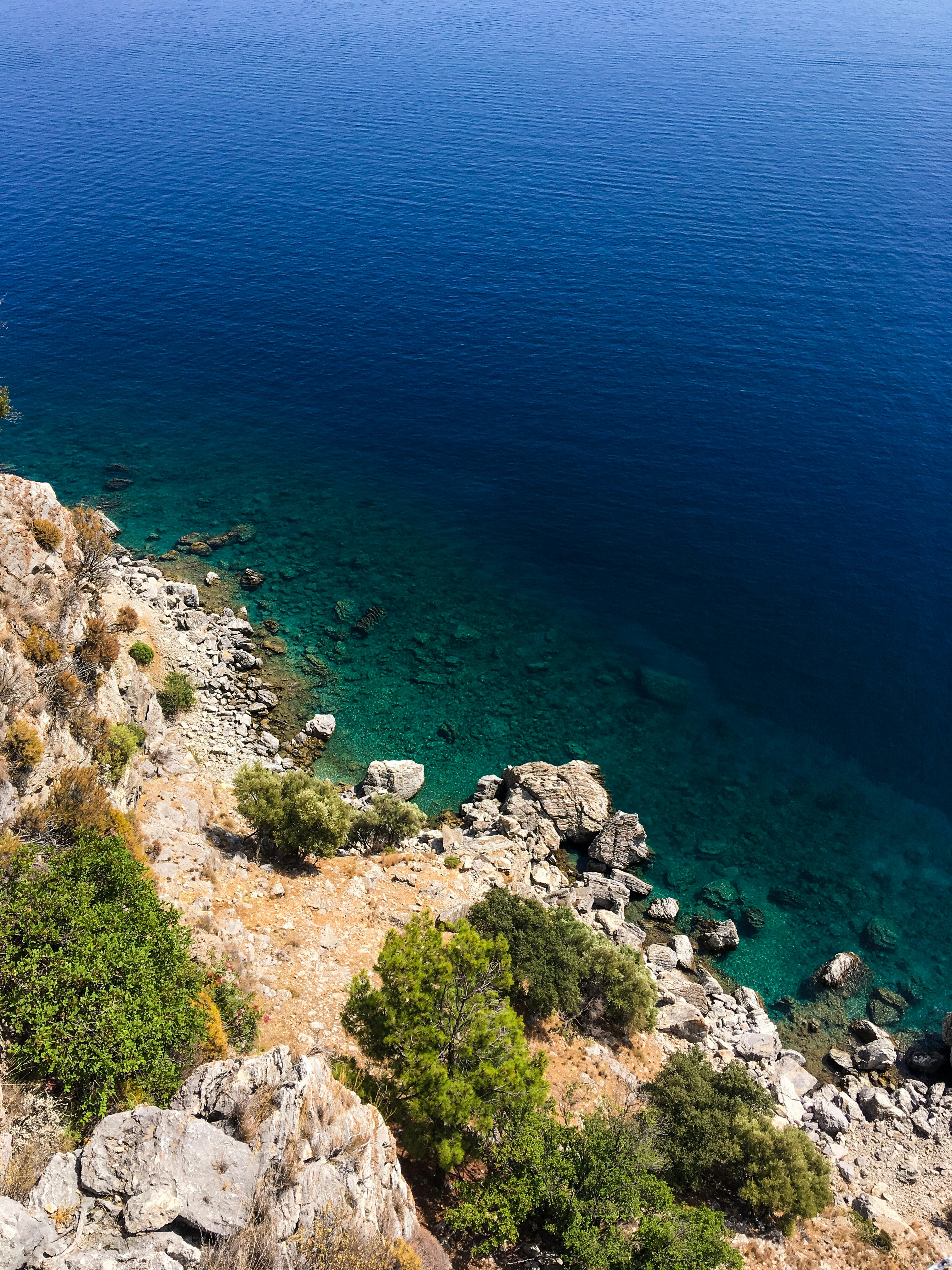 Photo by bear_lissimo