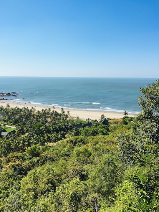 green trees on island during day in Chapora Fort India